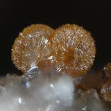 Strengite<br />La Paloma Mine, Zarza la Mayor, Mancomunidad Rivera de Fresnedosa, Cáceres, Extremadura, Spain<br />FOV 1,4 mm<br /> (Author: Rewitzer Christian)