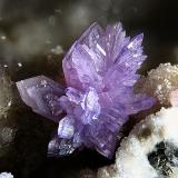 Strengite<br />La Paloma Mine, Zarza la Mayor, Mancomunidad Rivera de Fresnedosa, Cáceres, Extremadura, Spain<br />FOV 3 mm<br /> (Author: Rewitzer Christian)