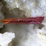 PyrostilpniteCasualidad Mine, Cordillera de los Picachos, Baños de Sierra Alhamilla, Pechina, Comarca Metropolitana de Almería, Almería, Andalusia, SpainFOV 1,1 mm (Author: Rewitzer Christian)