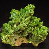 Pyromorphite<br />Les Farges Mine (Des Farges Mine), Ussel, Corrèze, Nouvelle-Aquitaine, France<br />Specimen size: 5 × 3.2 × 3 cm / main crystal size: 0.6 × 0.2 cm<br /> (Author: Jordi Fabre)