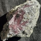 KermesitePezinok, Distrito Pezinok, Region Bratislava, Eslovaquia5 x 3 cm (Author: Volkmar Stingl)