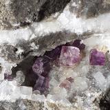 Fluorite, CalciteUngerhammerplatzl, Unterlaussa, Sankt Gallen, Liezen District, Styria/Steiermark, Austria7 x 5 cm (Author: Volkmar Stingl)