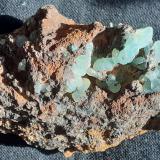 Adamite (variety cuprian)<br />Ojuela Mine, Mapimí, Municipio Mapimí, Durango, Mexico<br />5 x 3 cm<br /> (Author: Volkmar Stingl)