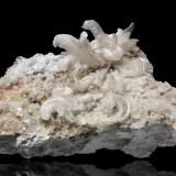 Gypsum<br />Le Cetine di Cotorniano Mine (Le Cetine Mine), Chiusdino, Siena Province, Tuscany, Italy<br />mm.70x70x55<br /> (Author: Diego Pucci)