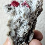 Cinabrio, Cuarzo, CalcitaEscarlati Mine, level 3, Puerto de las Señales, Maraña, Comarca Montaña Oriental, León, Castile and León, Spain5,9 x 3,9 cm. (Autor: Carles)