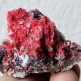 Cinabrio, YesoHozarco Mine, Monte Santa Catalina, Desfiladero de la Hermida, Piñeres, Peñarrubia, Comarca Saja-Nansa, Cantabria, Spain4,5 x 3,0 cm. (Autor: Carles)