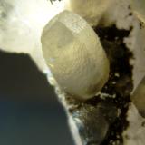 Calcita<br />Minas Gerais, Brasil<br />6 x 4 x 3 cm.<br /> (Autor: Felipe Abolafia)