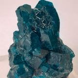Dioptase<br />Tsumeb Mine, Tsumeb, Otjikoto Region, Namibia<br />2,5 x 2 cm<br /> (Author: Volkmar Stingl)