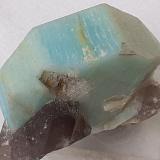 Microcline (variety amazonite), Quartz (variety smoky)Lake George, Park County, Colorado, USA4 x 4 cm (Author: Volkmar Stingl)