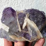 Fluorita, Barita<br />Debdou (Dabdou), Provincia Taourirt, Región Oriental, Marruecos<br />9,7 x 6,6 cm.<br /> (Autor: Carles)