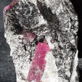 Corundum (variety ruby)<br />Mysore District, Karnataka, India<br />3,5 x 2,5 cm<br /> (Author: Volkmar Stingl)