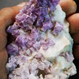 Fluorita<br />Mina Escarlati, Puerto de las Señales, Maraña, Comarca Montaña Oriental, León, Castilla y León, España<br />95x75 mm<br /> (Autor: joaquin gar)