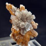 AragonitoAfloramiento del Keuper, Los Yesares, Camporrobles, Comarca Requena-Utiel, Valencia / València, Comunidad Valenciana / Comunitat Valenciana, España5.5 x 3 cm (Autor: Pedro Antonio)