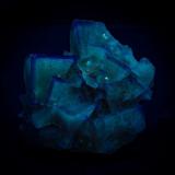 Fluorite<br />Rosiclare, Rosiclare Sub-District, Hardin County, Illinois, USA<br />52mm x 50mm x 25mm<br /> (Author: Firmo Espinar)