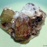 Fluorapatito<br />Mina Cerro de Mercado, Cerro de los Remedios, Victoria de Durango, Municipio Durango, Durango, México<br />65x55 mm<br /> (Autor: Joan Niella)