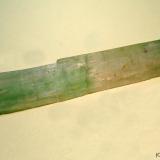 Espodumena (variedad hiddenita)<br />Paprok, Distrito Kamdesh, Provincia Nuristan, Afganistán<br />90x15 mm<br /> (Autor: Joan Niella)