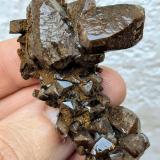 CalcitaHerculano Mine, El Puntal, Campos de Golf, Atamaría, Cartagena, Comarca Campo de Cartagena, Region of Murcia (Murcia), Spain5,8 x 4,2 cm. (Autor: Carles)