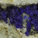 Azurite<br />Neubulach, Calw, Calw District, Karlsruhe Region, Baden-Württemberg, Germany<br />VOF 23 mm (whole piece 45 x 45 x 40 mm)<br /> (Author: Rob Schnerr)