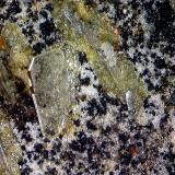 Wulfenita.Mina Saturno, Cerro del Caldero, Benahadux, Comarca Metropolitana de Almería, Almería, Andalucía, España1´475 x 0´0568 mm. (Autor: Jesus Franquesa Baucells)