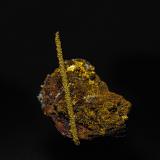 Gold<br />Round Mountain Mine, Round Mountain, Round Mountain District, Nye County, Nevada, USA<br />2.7 x 2.1 cm<br /> (Author: am mizunaka)
