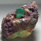 Beryl (variety emerald), Pyrite<br />Muzo mining district, Western Emerald Belt, Boyacá Department, Colombia<br />42 x 27 mm<br /> (Author: Sante Celiberti)