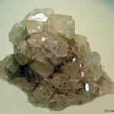 Datolita<br />Dalnegorsk, Distrito urbano Dalnegorsk, Primorsky Krai, Rusia<br />65x45 mm<br /> (Autor: Joan Niella)