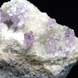 Quartz (variety amethyst), CalciteCantera Capurru, Osilo, Provincia Sassari, Cerdeña/Sardegna, Italia11 x 7,5 cm (Author: Sante Celiberti)