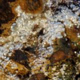 Montgomeryita<br />Pedrera Turó de Montcada, Montcada i Reixac, Comarca Vallès Occidental, Barcelona, Cataluña / Catalunya, España<br />< 1 mm<br /> (Autor: José Luis Zamora)