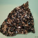 Magnetita<br />Cerro Huañaquino, Paco Grande, Provincia Tomás Frías, Departamento Potosí, Bolivia<br />95x80 mm<br /> (Autor: Joan Niella)