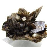 Axinite-(Fe), Quartz<br />Rampe des Commères, Le Bourg d'Oisans, Grenoble, Isère, Auvergne-Rhône-Alpes, France<br />8 x 8 cm<br /> (Author: Jean Suffert)
