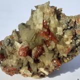 Diopside, Grossular<br />Mussa Alp, Balme, Val d'Ala, Lanzo Valleys (Valli di Lanzo), Metropolitan City of Turin Province, Piedmont (Piemonte), Italy<br />3,5 x 2 cm<br /> (Author: Volkmar Stingl)