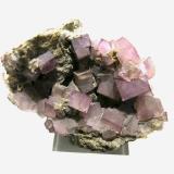 Fluorite<br />Bergheim, Colmar-Ribeauvillé, Collectivité Européenne d'Alsace, Grand Est, France<br />6 x 5 cm<br /> (Author: Jean Suffert)