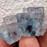 Fluorita<br />Mina Vinheiros, nivel 4, Coto minero Vale das Gatas, Sabrosa, Distrito Vila Real, Región Norte, Portugal<br />3,6 x 2,7 cm.<br /> (Autor: carles)