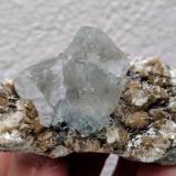 Fluorita, Moscovita<br />Mina Vinheiros, nivel 4, Coto minero Vale das Gatas, Sabrosa, Distrito Vila Real, Región Norte, Portugal<br />6,8 x 3,6 cm.<br /> (Autor: carles)