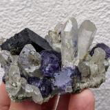 Cuarzo, Ferberita, Fluorita, Topacio, Arsenopirita<br />Minas da Panasqueira, Aldeia de São Francisco de Assis, Covilhã, Castelo Branco, Cova da Beira, Centro, Portugal<br />6,5 x 5,2 cm.<br /> (Autor: carles)