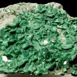 Torbernita<br />Calo, Vimianzo, Comarca Terra de Soneira, La Coruña / A Coruña, Galicia / Galiza, España<br />4,5cm - 3cm<br /> (Autor: ramon ro)