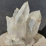 Quartz<br />Saurüssel, Mörchner area, Zemmgrund, Ziller Valley (Zillertal), North Tyrol, Tyrol/Tirol, Austria<br />3 x 2,5 cm<br /> (Author: Volkmar Stingl)
