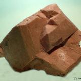 Microclina<br />Pedrera Mas Sever, Massabè (Mas Ceber), Sils, Comarca La Selva, Gerona / Girona, Cataluña / Catalunya, España<br />50x60 mm<br /> (Autor: Joan Niella)