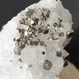 Pyrite, QuartzTúnel norte Wuyi (obras), Wuyishan, Prefectura Nanping, Provincia Fujian, ChinaFoV 2 x 2 cm (Author: Volkmar Stingl)