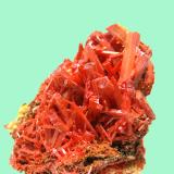 Crocoite<br />Adelaide Mine, Dundas mineral field, Zeehan District, West Coast Council, Tasmania, Australia<br />12 x 10 cm<br /> (Author: Jean Suffert)