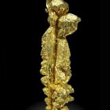 Gold<br />Aouint Ighoman, Assa-Zag Province, Guelmim-Oued Noun Region, Morocco<br />2.0 x 0.5 cm<br /> (Author: Michael Shaw)