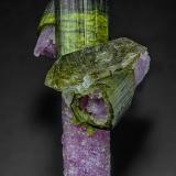 Elbaite, Lepidolite, QuartzPederneira claim, São José da Safira, Governador Valadares, Vale do Rio Doce, Minas Gerais, Brazil6.5 x 4.2 cm (Author: am mizunaka)