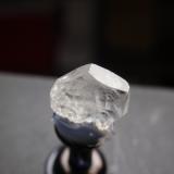 Fenaquita<br />Rio Piracicaba (São Miguel de Piracicaba), Minas Gerais, Brasil<br />10x8 mm<br /> (Autor: Ignacio)