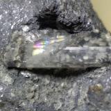 Fosgenita, Galena<br />Mina Monteponi, Iglesias, Provincia Sud Sardegna, Cerdeña/Sardegna, Italia<br />90 x 77 mm<br /> (Autor: Sante Celiberti)
