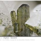 EpidoteLes Frettes, Macizo La Lauzière, Saint-Jean-de-Maurienne, Saboya, Auvergne-Rhône-Alpes, Franciafov 4.1 mm (Author: ploum)