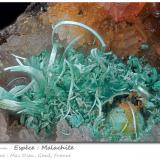 Malachite<br />Mas Dieu, Mercoirol, Alès, Gard, Occitanie, France<br />fov 4.9 mm<br /> (Author: ploum)