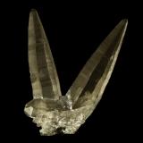 Quartz (variety smoky quartz)<br />Bergsig Farm 167 (Hohenstein), Omaruru, Erongo Region, Namibia<br />35 x 6 x 25 mm<br /> (Author: Rob Schnerr)