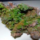 Pyromorphite<br />Saint-Salvy Mine, Saint-Salvy-de-la-Balme, Tarn, Occitanie, France<br />80 x 67 mm<br /> (Author: Sante Celiberti)