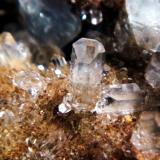 CelestinaConcesión Minerama II, Urbanización Puente Tablas, Jaén ciudad, Jaén, Comarca Metropolitana de Jaén, Andalucía, EspañaCampo de visión 3 cm. (Autor: Antonio P. López)