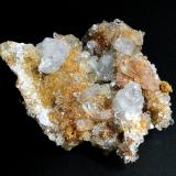 CelestinaConcesión Minerama II, Urbanización Puente Tablas, Jaén ciudad, Jaén, Comarca Metropolitana de Jaén, Andalucía, España6 x 6 cm (Autor: Antonio P. López)